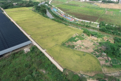 全市累计形成水田指标超2700亩！梅州全力推进垦造水田项目建设  