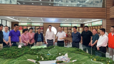 将小小“茶叶子”变成致富“金叶子”！梅州开展茶产业高质量发展座谈交流活动