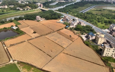 兴宁这个七彩花生种植示范基地启用，首期种植规模60亩！