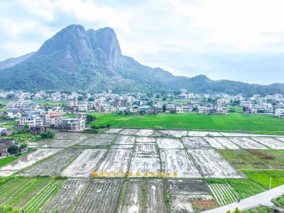 全市首个！“社村”合作共建项目试点在平远拉开序幕