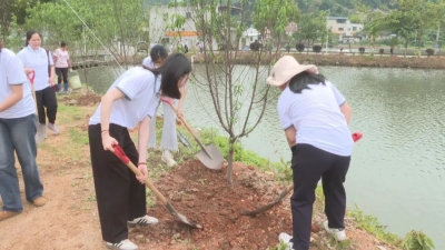 为绿美新梅县充“植”！梅县区支教老师到丙村镇开展植树活动