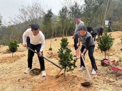 同心植新绿  合力促绿美！丰顺县黄金镇人大高质量推进绿美黄金生态建设