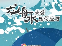 一图知晓“龙舟水”！这份避险指南请收好