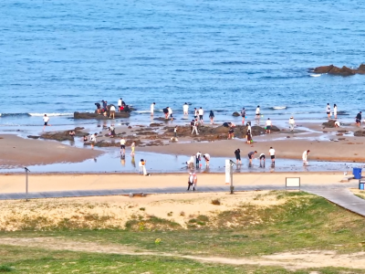 时政现场说丨打造活力多元阳光海岸绿道 建设绿色可持续海洋生态环境