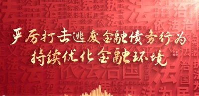 严厉打击逃废金融债务行为 持续优化金融环境