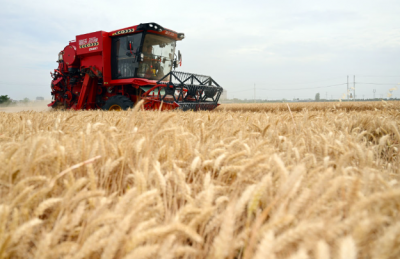 镜观·回响 | 种粮大户徐淙祥：“又是一个丰收年”