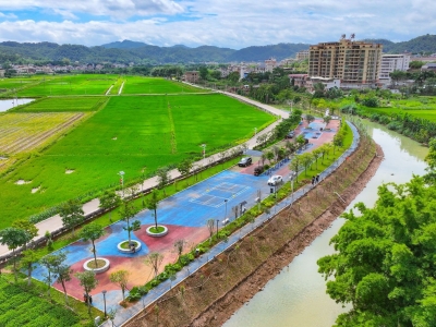 两岸齐添绿 河道展新颜！梅县区持续推进河道绿化建设优化生态环境