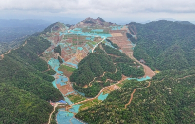 厚植绿色底蕴 筑牢生态屏障——落实省《若干措施》系列报道之筑牢粤港澳大湾区生态屏障