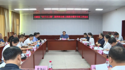 丰顺县召开“百千万工程”指挥部全域土地综合整治专班工作会议