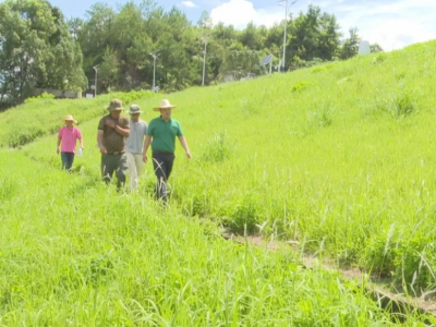 梅县区：加大巡查除险力度 确保山塘水库安全度汛