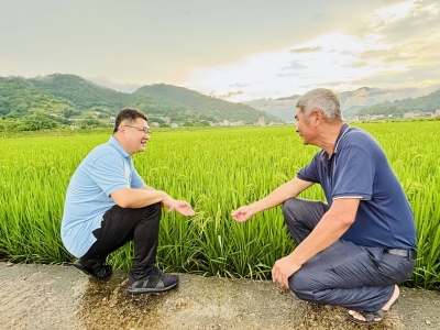 驻村更助村 帮扶结硕果！中储粮广东分公司派驻大埔县高陂镇工作队真帮实干助力乡村振兴