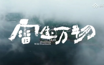 遨游于海神之域！央视重磅纪录片《雷生万物》第1集就大热