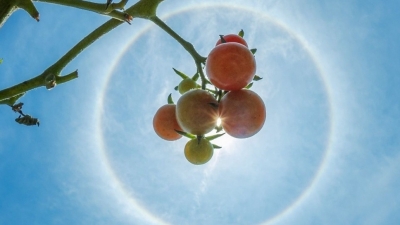 魅力梅州丨准备好了吗？美好将接“粽”而来…