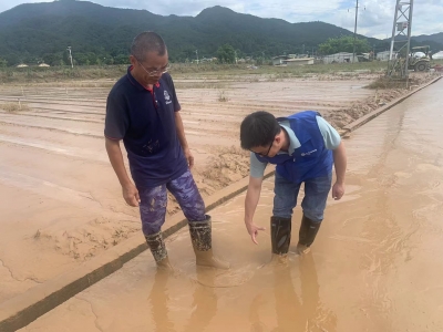 排险“有速度” 理赔“有温度”！梅州金融监管部门和保险机构迅速助力防洪抢险和救灾复产