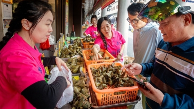 端午临近，粽子“抢鲜”上市！