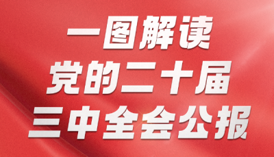 一图解读党的二十届三中全会公报