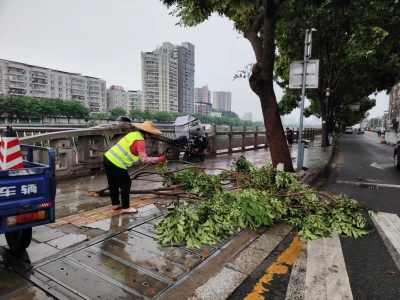 五华迅速开展台风暴雨后各项恢复工作