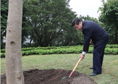 改革近镜头｜高山榕下，春天的故事谱新篇