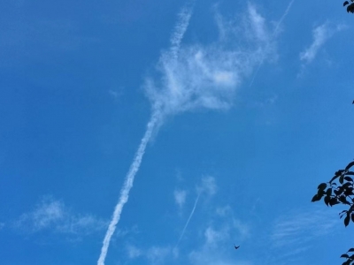 “天花板”趣谈