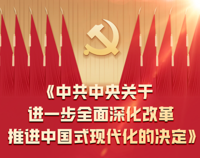 一图全解二十届三中全会《决定》