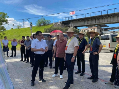 市政协组织开展重点提案督办调研：完善乡村治理 建设和美乡村