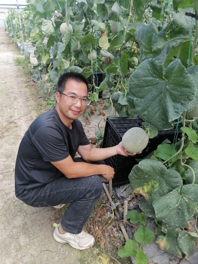 科技转化助力“百千万工程”！甜瓜新品种栽培技术现场观摩会在梅县区举行