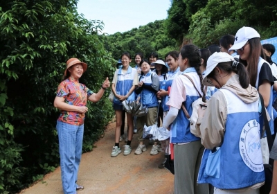 广州中医药大学生到梅江区的梅片种植基地研学