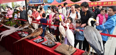 保护生态“精灵” 守护多样之美！梅州多措并举做好野生动物保护工作，构建人与自然和谐共生新格局