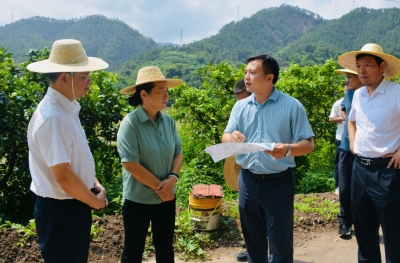 蓝伟东到大埔调研挂钩联系重点项目建设情况：加快重点项目建设 助力高质量发展