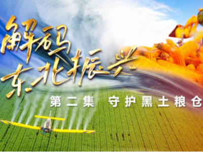 六集政论片《解码东北振兴》第二集：守护黑土粮仓