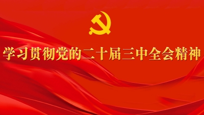 深入学习贯彻党的二十届三中全会精神