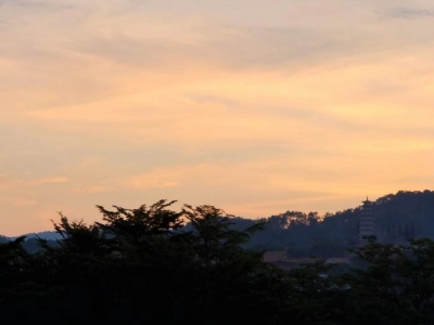 在客家山乡的悲喜岁月——康力同志回忆录