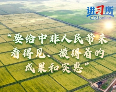 【讲习所·新时代中非合作】“要给中非人民带来看得见、摸得着的成果和实惠”