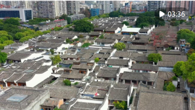 文脉华章｜守根护脉