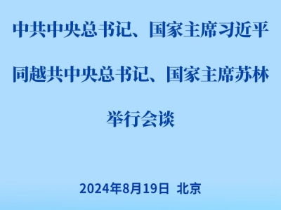 习近平同越共中央总书记、国家主席苏林会谈