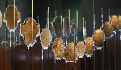 文脉华章丨为一个展奔赴一座城，暑期博物馆迎来“泼天流量”