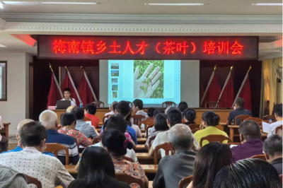 梅县区梅南镇举办乡土茶叶人才培训会