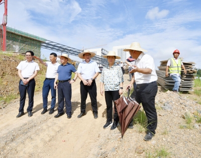 蓝伟东到梅江区调研挂钩联系重点项目建设情况：加快项目建设  早日建成投产