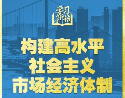 学习新语｜领悟“七个聚焦”：构建高水平社会主义市场经济体制