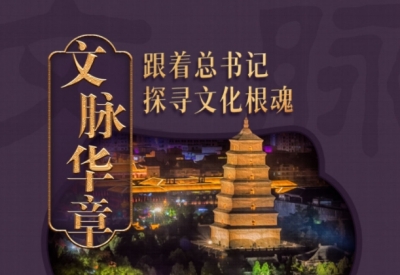 文脉华章｜又见长安