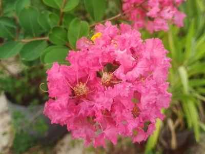 在客家山乡的悲喜岁月——康力同志回忆录