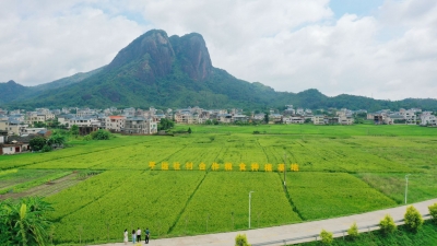 社村合作，荒地生金！平远县积极探索走出致富新路子