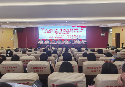 促进美育体育浸润行动走深走实！丰顺县美术教师专业素养提升培训班顺利开班