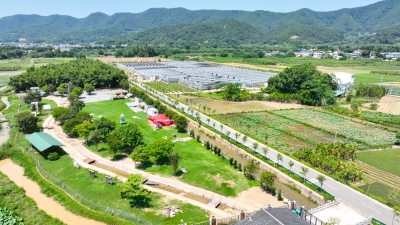 省“百千万工程”首批典型村三圳镇九岭村：整合优势发展特色兴村富民产业 