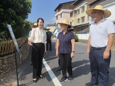 市人大常委会调研我市实施“百千万工程”推进乡村振兴示范带建设工作情况