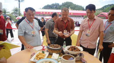 南药飘香 味蕾盛宴！来看看平远南药与餐饮的完美“邂逅”~