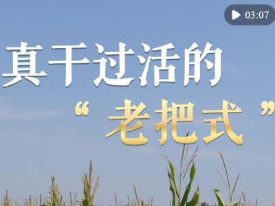 微纪录片 | 真干过活的“老把式”