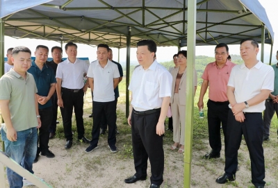 张志锋到汤南镇宣讲党的二十届三中全会精神并调研：加快推进重点项目建设推动城乡融合发展助力“百千万工程”加力提速