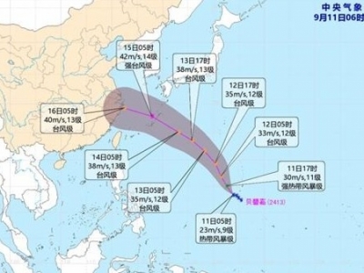 今年第13号台风“贝碧嘉”已生成 未来趋向我国东海海面