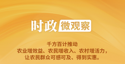 时政微观察丨丰收时节，总书记强调三个“增” 